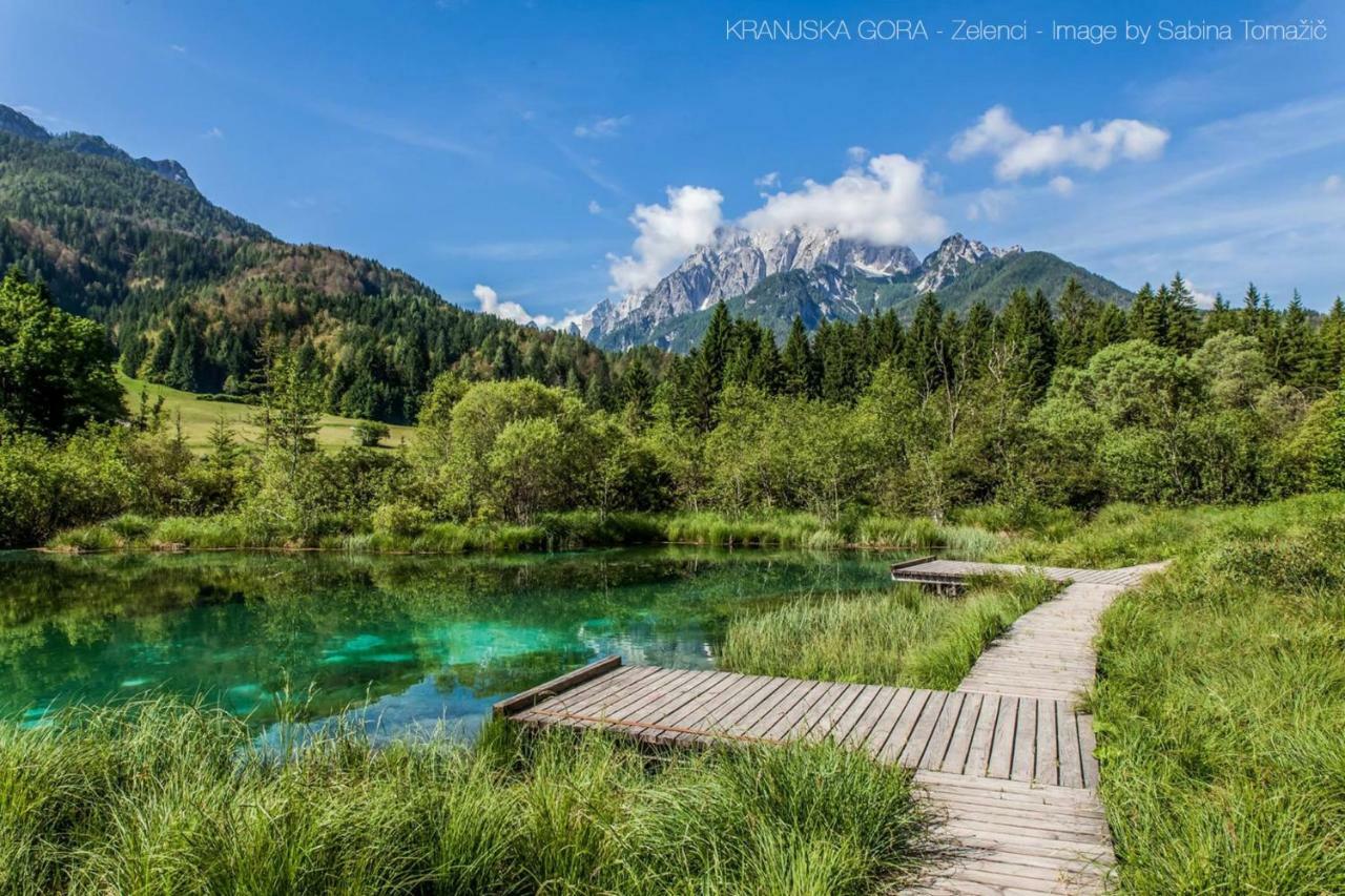 Chalet Via Mons Mojstrana Dış mekan fotoğraf
