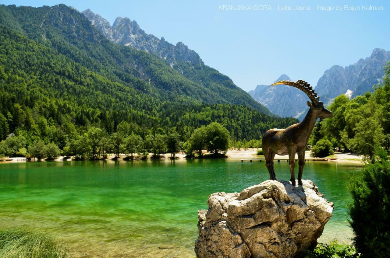 Chalet Via Mons Mojstrana Dış mekan fotoğraf
