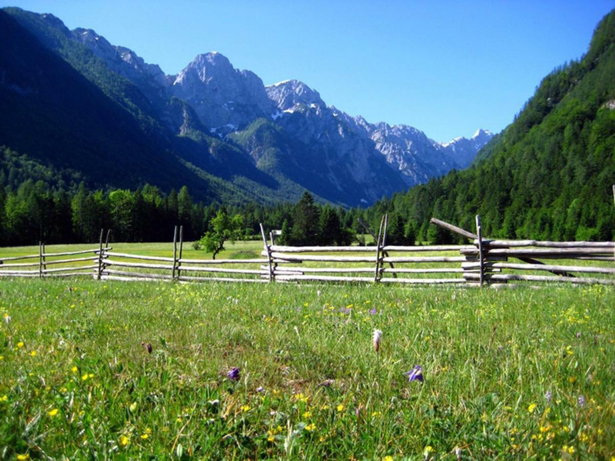Chalet Via Mons Mojstrana Dış mekan fotoğraf